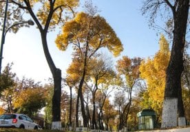 Ўзгидромет 8 октябрь, душанба куни учун об-ҳаво