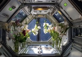 Chinese Astronauts Successfully Produce Oxygen and Ethylene in Space фото