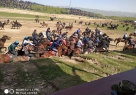 Фото: ЎзА Самарқанднинг Жомбой туманида кўпкари бўйича