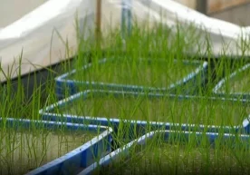 Жанубий Хитой қишлоқ хўжалиги университети олимлари фазода