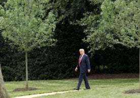 АҚШ президенти Доналд Трамп ёз давомида Украина ва Ғазо