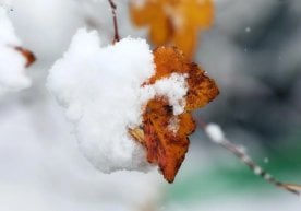 Ўзбекистонда қиш фаслининг дастлабки кунлари қандай