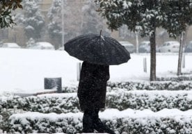 “Ўзгидромет” 23 январь, жума куни учун об-ҳаво маълумотини