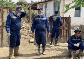 Сирдарёда экиш имконияти мавжуд майдонларга Сурхондарё