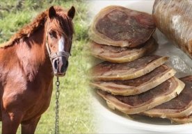 Қозоғистон Японияга от гўшти ва ундан тайёрланадиган