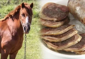 Қозоғистон Японияга от гўшти ва ундан тайёрланадиган