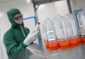 Yangi turdagi koronavirus SARS-CoV-2’ning eng xavfli