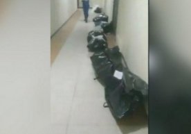 Yo‘lak to‘la murdalar videosi O‘zbekistonda olingani tasdiqlandi. Ammo... фото