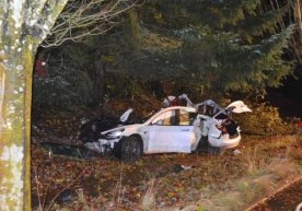 Katta tezlikda daraxtga urilgan Tesla’ning batareyasi sochilib ketdi (foto) фото