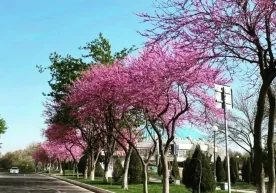 Morgen, am 10. April, wurde die Wettervorhersage für