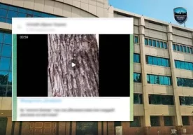 Ижтимоий тармоқларда бир фуқаро қуролни реклама қилаётгани