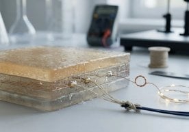 Лондон Қиролича Мария университети, Уорик университети ва