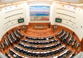 Senatning oʻn sakkizinchi yalpi majlisi ochildi фото