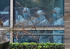 ЖССТ коронавирус пайдо бўлишининг сабабини маълум қилди. Аммо шубҳалар кўп... фото