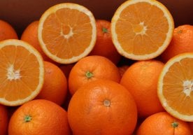 Шамоллаш мавсуми кириб келиши билан инсон организмига