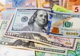 19 декабрь куни ҳолатига кўра, Ўзбекистон валюта бозорида