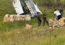 АҚШнинг Пенсильвания штатида тажриба ҳайвонларини олиб