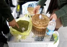 Xorazm viloyati bojxona boshqarmasi xodimlari zargarlik