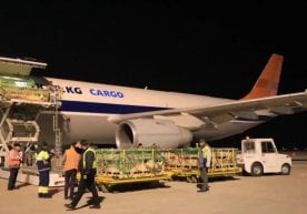 Наманган вилоятига Мўғулистон Республикасидан 730 бош