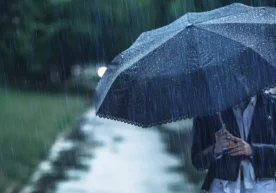 “Ўзгидромет” маълумотларига кўра, 29 декабрь куни