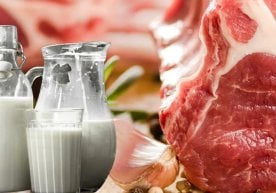 Oʻzbekistonda aholi salomatligini himoya qilish va