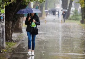 Ўзгидрометнинг маълумотига кўра, 12 декабрда Тошкентда