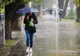 Ўзгидрометнинг маълумотига кўра, 12 декабрда Тошкентда