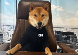 Америкалик тадбиркор ва Twitter’нинг янги эгаси Илон Маск
