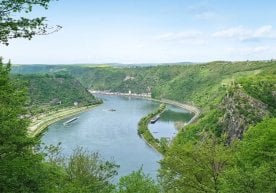 Европада янги Reyn Cycle Route номли велосипед йўли