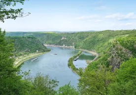 Европада янги Reyn Cycle Route номли велосипед йўли
