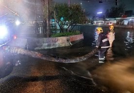 Жорий йил 9 мартдан 10 мартга ўтар кечаси Тошкент