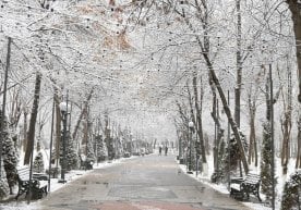 11 март куни Тошкент шаҳрида беқарор об-ҳаво кузатилиши