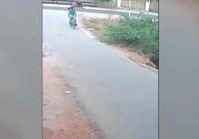 Кўзойнакли илон велосипедда кетаётган йўловчиларга ташланди (видео) фото
