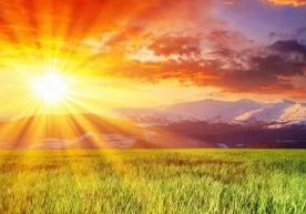 Қуёш нурида исиб қолган сувни ишлатишнинг ҳукми тўғрисида