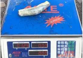 125 gramm zahri qotilning noqonuniy aylanmasiga chek qo‘yildi фото