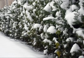 Ўзгидромет 21 декабрь, эртага республика ҳудудларида