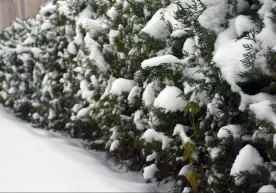 Ўзгидромет 21 декабрь, эртага республика ҳудудларида