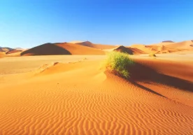 Охирги йилларда “иссиқлик рекордлари” деган ибора оддий