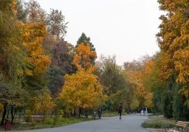 Ўзгидромет 15-октябрь, чоршанба куни учун янги об-ҳаво
