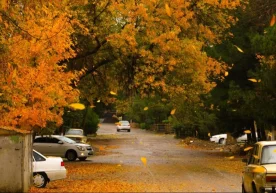 Ўзгидромет 17–20 ноябрь кунлaри учун бaтaфсил об-ҳaво