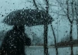 5 март куни Ўзбекистоннинг аксарият ҳудудларида баҳорга