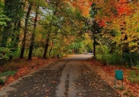 Ўзгидромет 17–20 ноябрь орасида республика бўйлаб кутилган