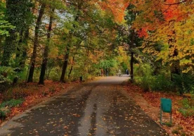 Ўзгидромет 17–20 ноябрь орасида республика бўйлаб кутилган