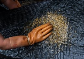 Тошкентда ҳам, жаҳондаги каби, олтин нархлари тез суръатда