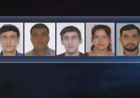 Ҳуқуқ-тартибот органлари “Taftish.uz” номи остида фаолият