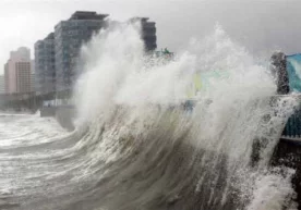 Хитойнинг Шанхай шаҳри яқинидаги Чунмин оролига кеча