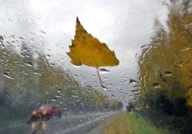 Ўзгидромет маълумотларига кўра, ноябр ойининг биринчи