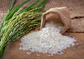 Япония ҳукумати ички бозорда гуруч етишмовчилигини