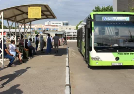 16-17 декабрь кунлари Тошкентга 204 та автобус олиб