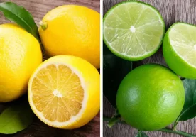 Ko‘pchilik limon bilan lime’ni bir xil meva deb o‘ylaydi.